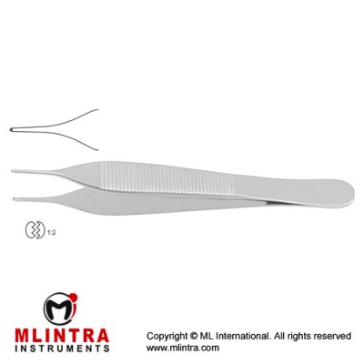 Adson Dissecting Forceps 1 x 2 Teeth Stainless Steel, 15 cm - 6" 